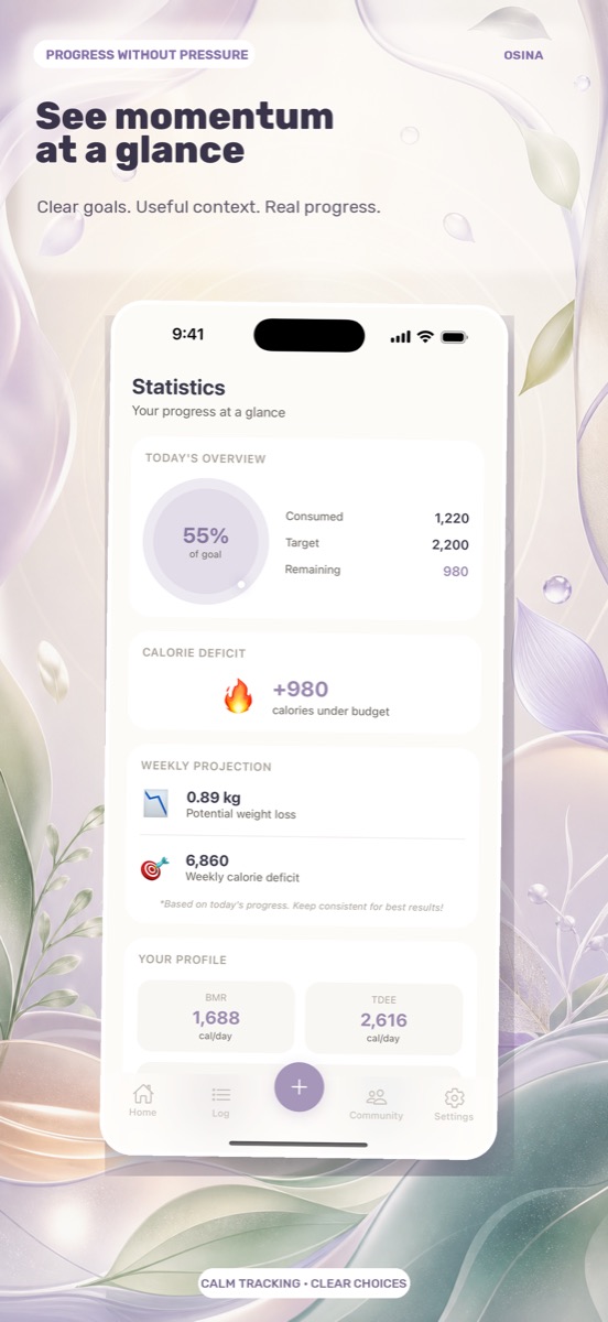 Calorie and progress statistics